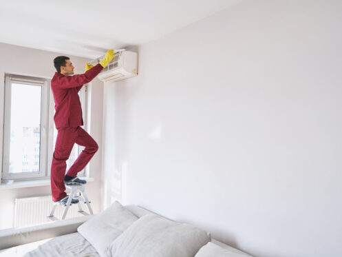 rsz concentrated professional cleaner looking at open 2023 11 27 05 27 36 utc